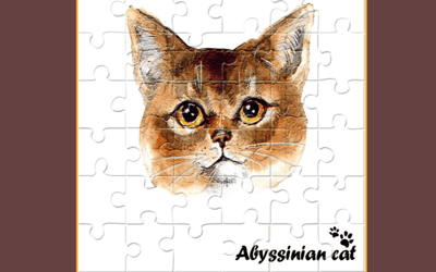 Abyssinian Puzzle Challenge