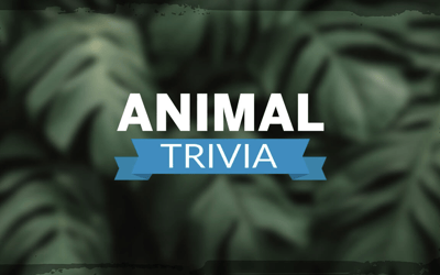 Animal Trivia