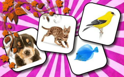 Animals Memory Game