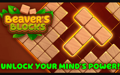 Beaver's Blocks