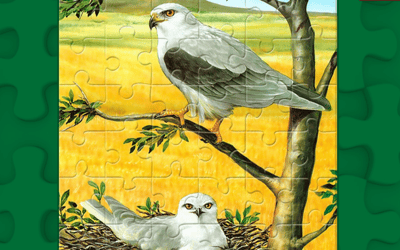 Birds of Prey Puzzle