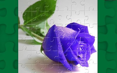 Blue Roses Puzzle