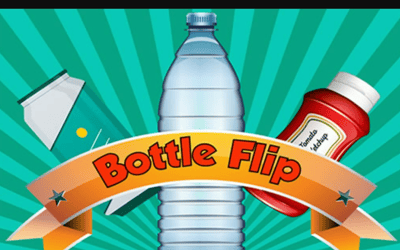 Bottle Flip Game