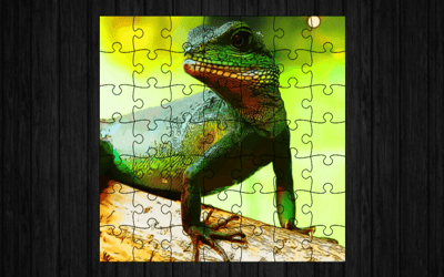 Chinese Water Dragon Jigsaw