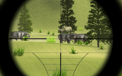 Classical Hippo Hunting