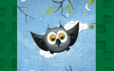 Cute Owl Puzzle