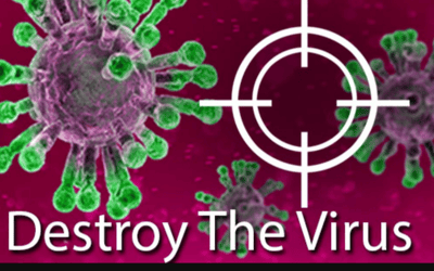 Destroy The Virus