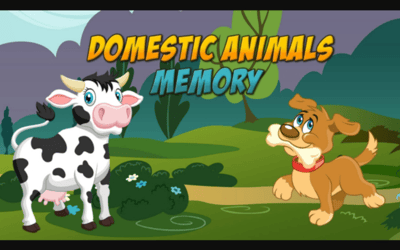 Domestic Animals Memory