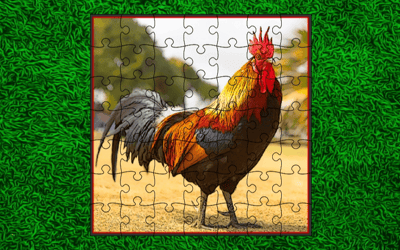 Domestic Birds Puzzle