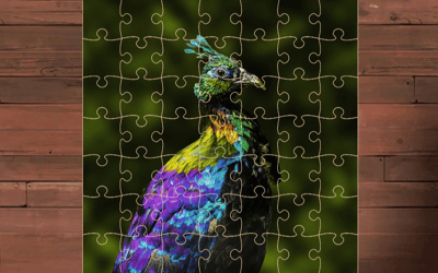 Exotic Animals Jigsaw