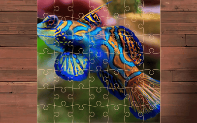 Exotic Sea Animals Jigsaw