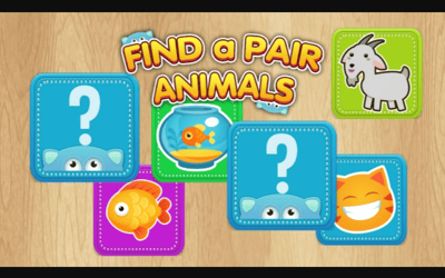 Find a Pair Animals