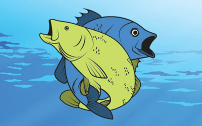 Friendly Fish Coloring