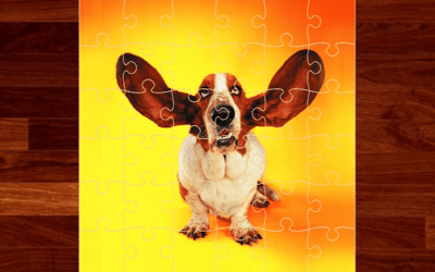 Funny Dogs Jigsaw Puzzles