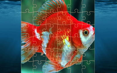 Gold Fish Jigsaw Puzzles