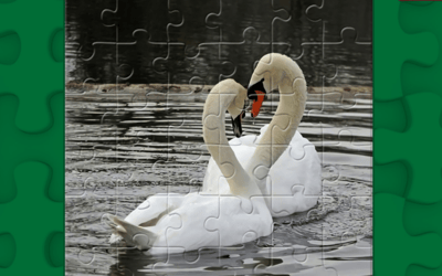 Graceful Swans Puzzle