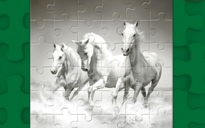 Horses Puzzle