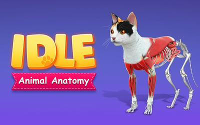 IDLE Animal Anatomy