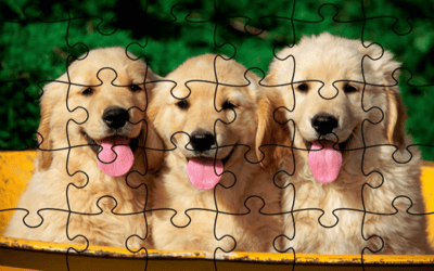 Jigsaw Puzzle - Doggies