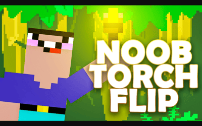 Noob Torch Flip 2D