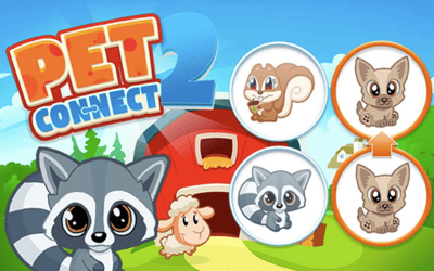 Pet Connect 2