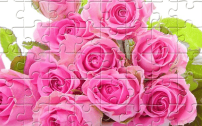 Pink Roses Puzzle