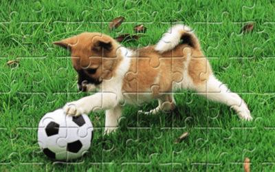 Playful Puppy Outdoor Puzzle