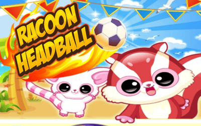 Racoon Headball