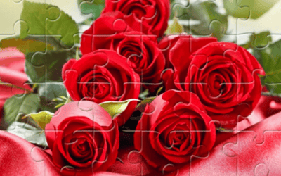 Red Roses Puzzle