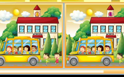 School Bus Differences