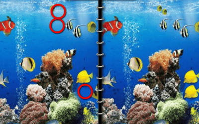 Sea Underwater Difference