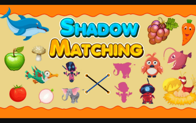 Shadow Matching