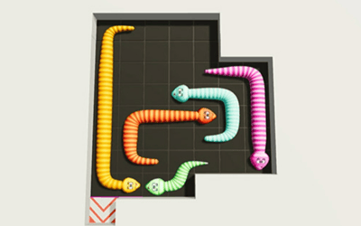 Snake Puzzle