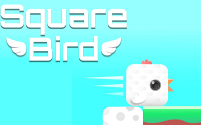 Square Bird