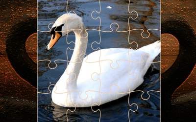 Swan Puzzle Challenge