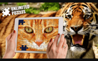 Unlimited Puzzles