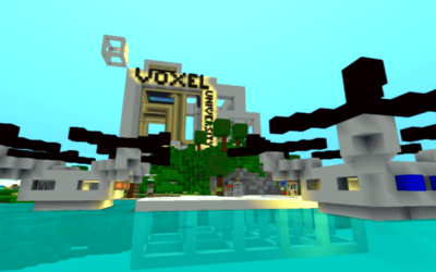 Voxel University