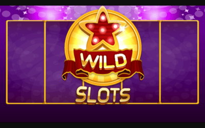 Wild Slot